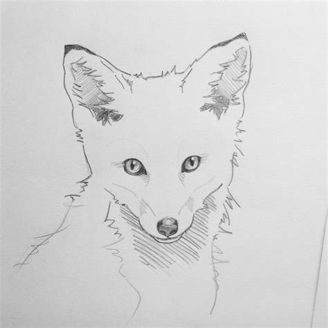 Baby fox sketch. Will look more distinctive with colour. www ...