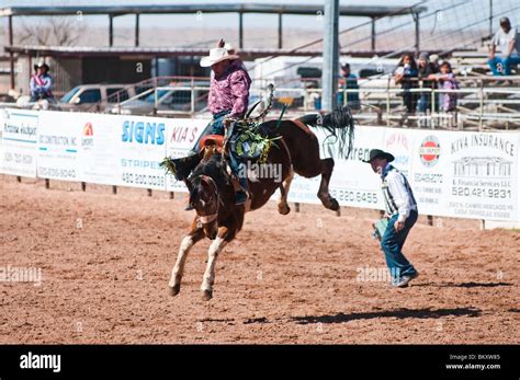 Saddle bronc riding hi-res stock photography and images - Alamy