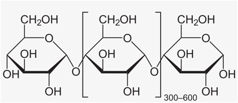 Molecular Structure Of Starch - Free Transparent PNG Download - PNGkey