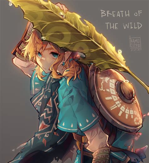 Kamochiruu - BOTW Link