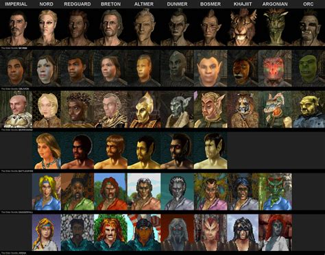 The Evolution of all races in The Elder Scrolls series. : r/gaming