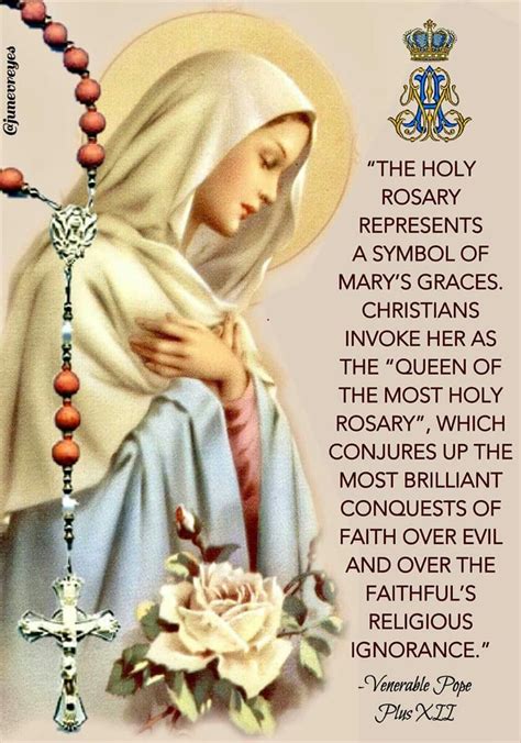 Queen of the Most Holy Rosary Praying The Rosary Catholic, Rosary ...