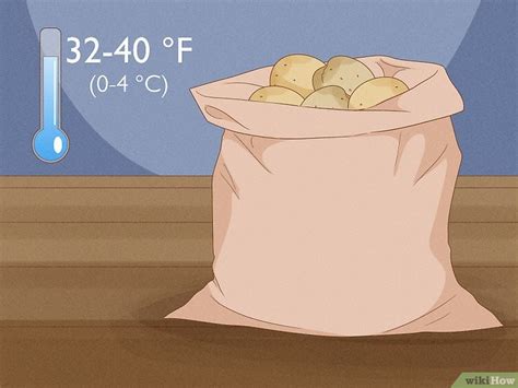 How to Plant Potatoes from Seed: 2 Easy Ways