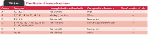 Adenovirus: Classification