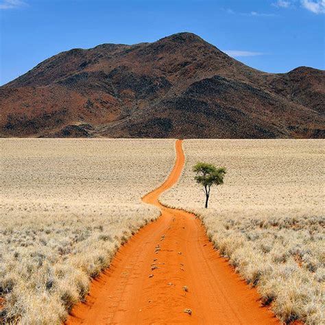 The desert of Namibia : pics