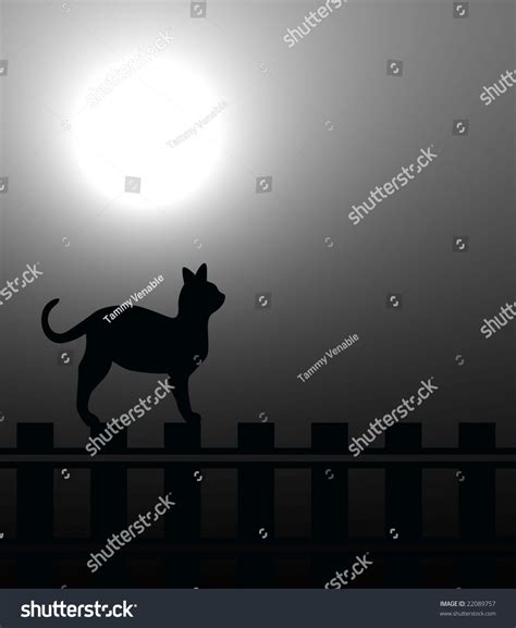 Black Cat Silhouette On A Fence In The Moonlight. Stock Photo 22089757 ...