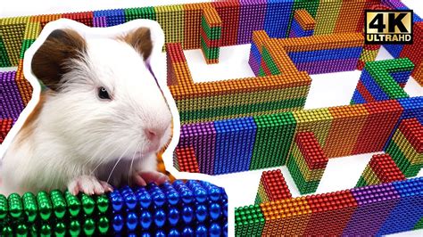 DIY - How To Build Amazing Maze Labyrinth For Pet Hamster from Magnetic ...