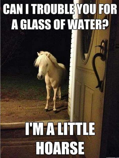 Horse Puns | 17 Funny Horse Memes That'll Make You Neigh