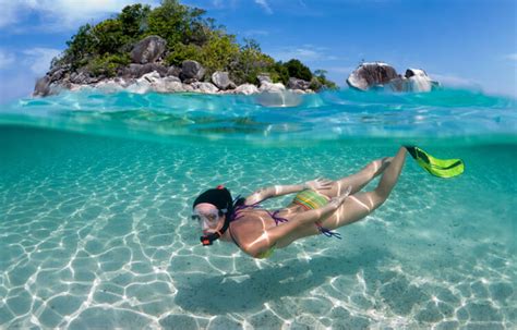 Snorkeling In Bermuda's Coral Reef | Bermuda.com