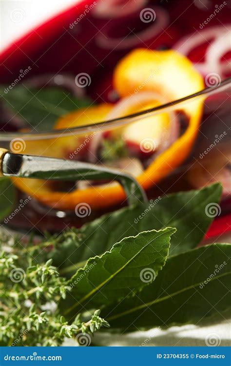 Red wine marinade stock image. Image of rosemary, wine - 23704355