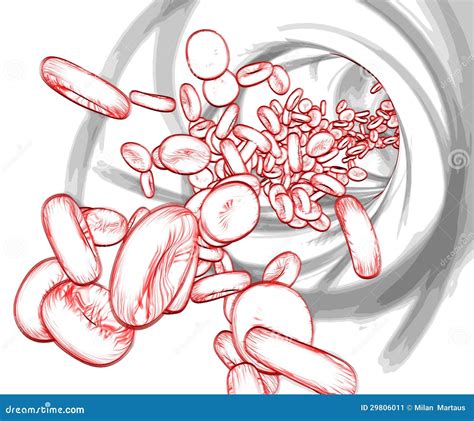 Blood cells sketch stock illustration. Illustration of design - 29806011