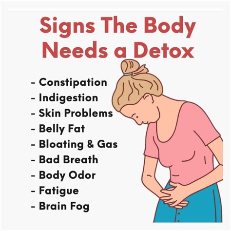 Signs the Body Needs a Detox: Food Facts – Food Pyramid