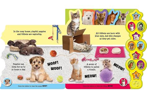 Baby Animals Boardbook with Sound – Lockdown Delivery For Kids – Booky ...