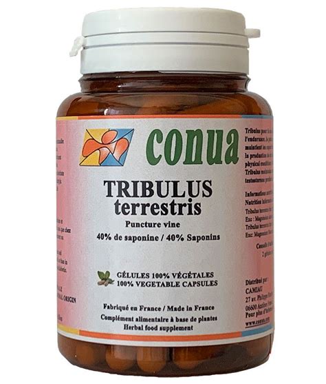 Tribulus terrestris benefits bodybuilding, libido, menopause, liver ...