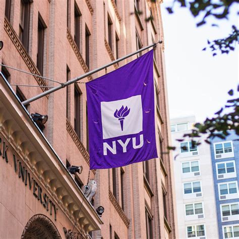 New York University Receives $40,000 Grant to Study Why Children ‘View ...