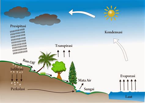 Geography Is Easy : Siklus Hidrologi