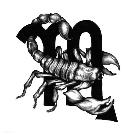 Hand drawn horoscope symbol of Scorpio illustration | free image by ...