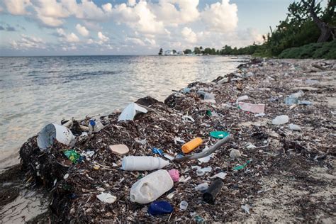 The Problem of Marine Plastic Pollution | Clean Water Action