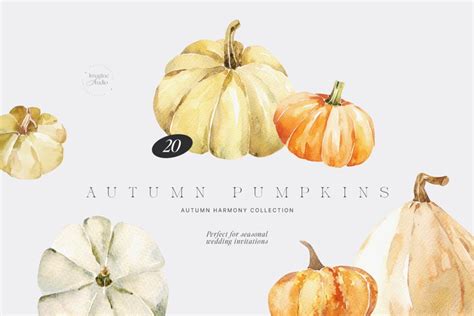 Autumn Pumpkins Clipart, Autumn Pumpkin Collection