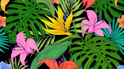 Tropical Flowers Wallpapers - Top Free Tropical Flowers Backgrounds ...