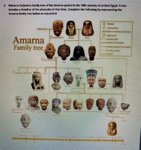 3. Below is the entire family tree of the Amarna | Chegg.com