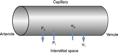 Colloid Osmotic Pressure and Osmolality | Veterian Key