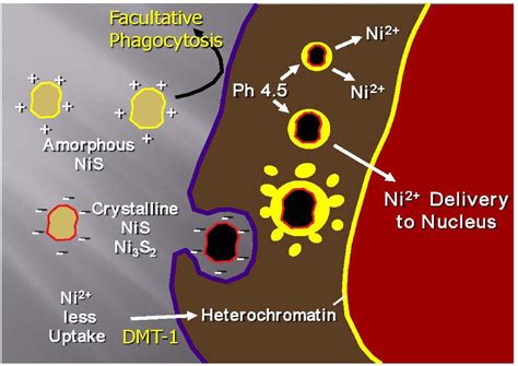 DNA Repair Enzymes | Semantic Scholar