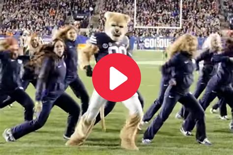 BYU Mascot's Viral Dance Routine Completely Stole the Show - FanBuzz