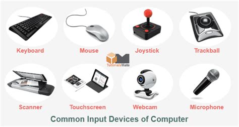 Input Devices of Computer: Definition & Examples - TutorialsMate