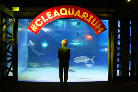 Greater Cleveland Aquarium | Ohio Traveler