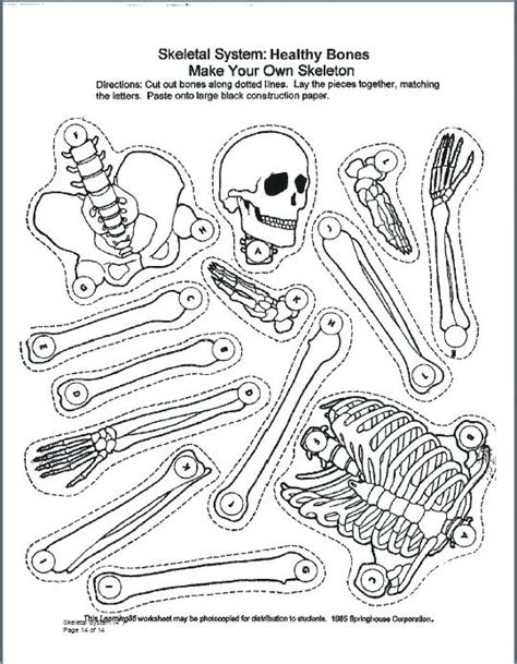 Nervous System Coloring Page at GetDrawings | Free download