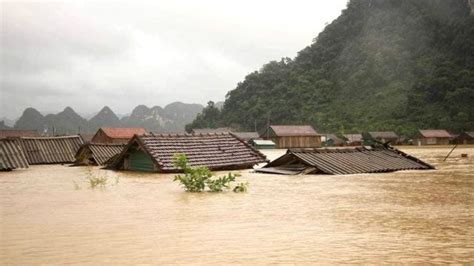 Chuyên gia cảnh báo về bão số 9, nói ‘nhà cấp 4 dễ bị quật đổ ...