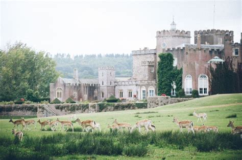 Powderham Castle to receive lifeline grant towards restoration of its ...