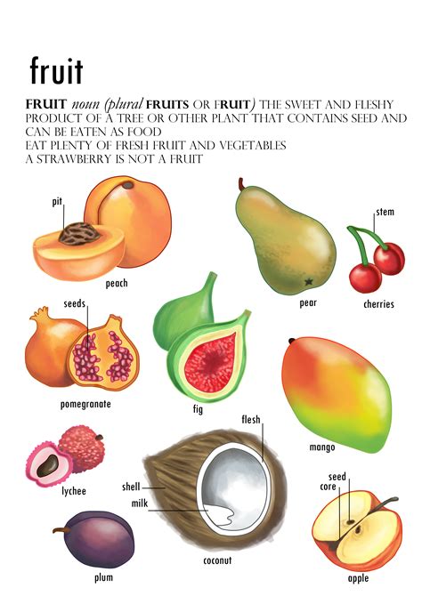 Fruit diagram by sianjarvis93 on DeviantArt