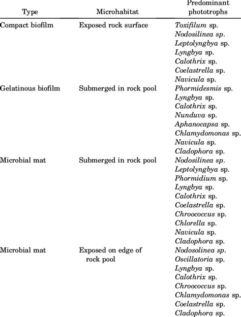 List of predominant phototrophs present in different types of biofilm ...