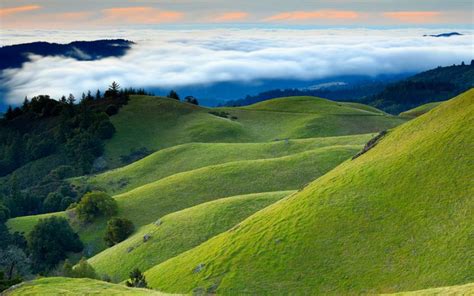 Grassy Hills Wallpapers - Top Wallpaper Desktop