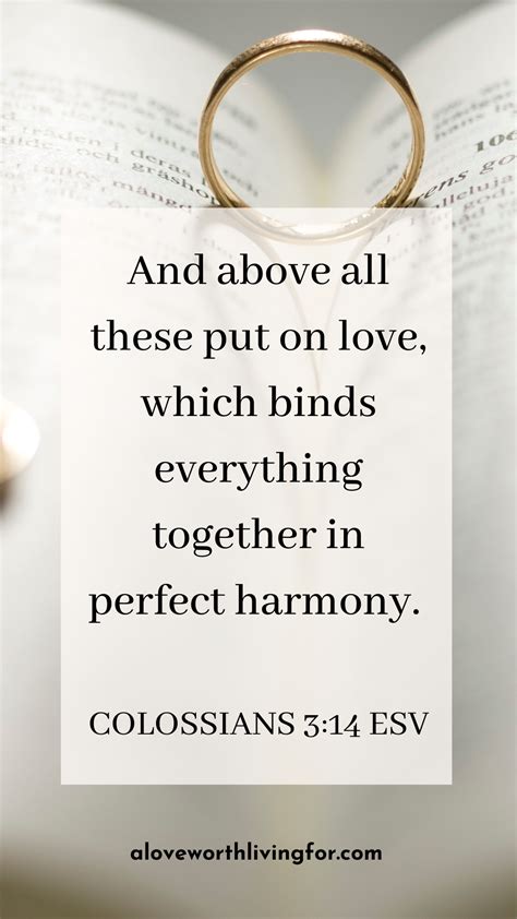 33 Beautiful Bible Verses About Love and Marriage — A Love Worth Living For