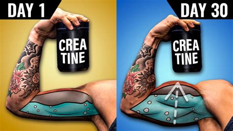 Creatine Before And After: Discover What Happens When You Take It For ...