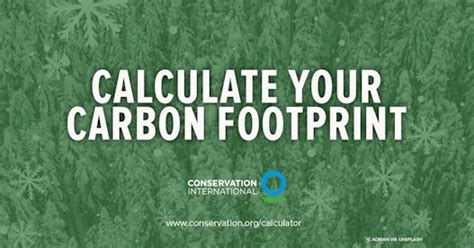 Carbon Footprint Calculator