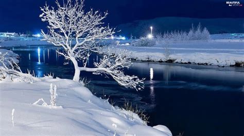 lake, Winter, Night, trees - Beautiful views wallpapers: 1920x1080