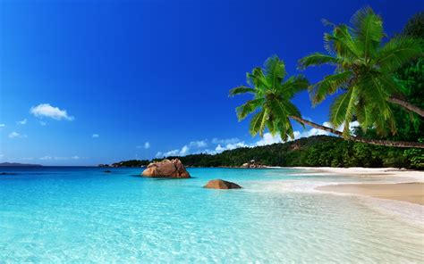 🔥 [130+] Tropical Island Wallpapers | WallpaperSafari