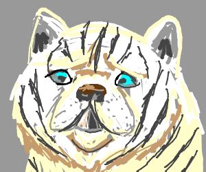 Kenny the Tiger - Drawception