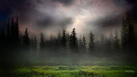 Sunrise in foggy woods (1920x1080, foggy, woods) via www.allwallpaper ...