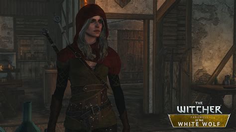 This Witcher 2 mod lets Geralt and Yennefer get married in a series ...