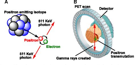 Figure 1 from Radiopharmaceutical chemistry for positron emission ...