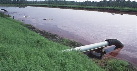 Hurricane Matthew Brings Manure Lagoon Issues to Light - Again