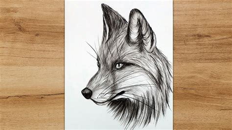 How to Draw a Fox Head Step by Step | Realistic Pencil Drawing - YouTube