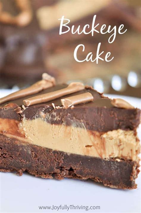 The Most Delicious Buckeye Cake Recipe