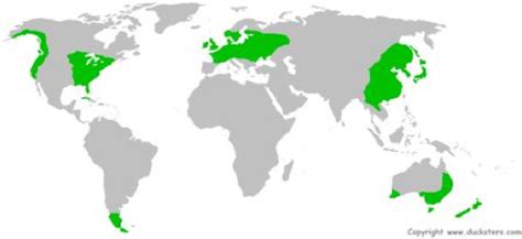 Temperate forest - Biome Map