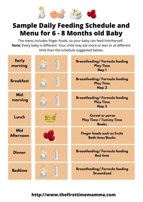 Sample Daily feeding schedule for 6-8 months old baby | Baby feeding ...